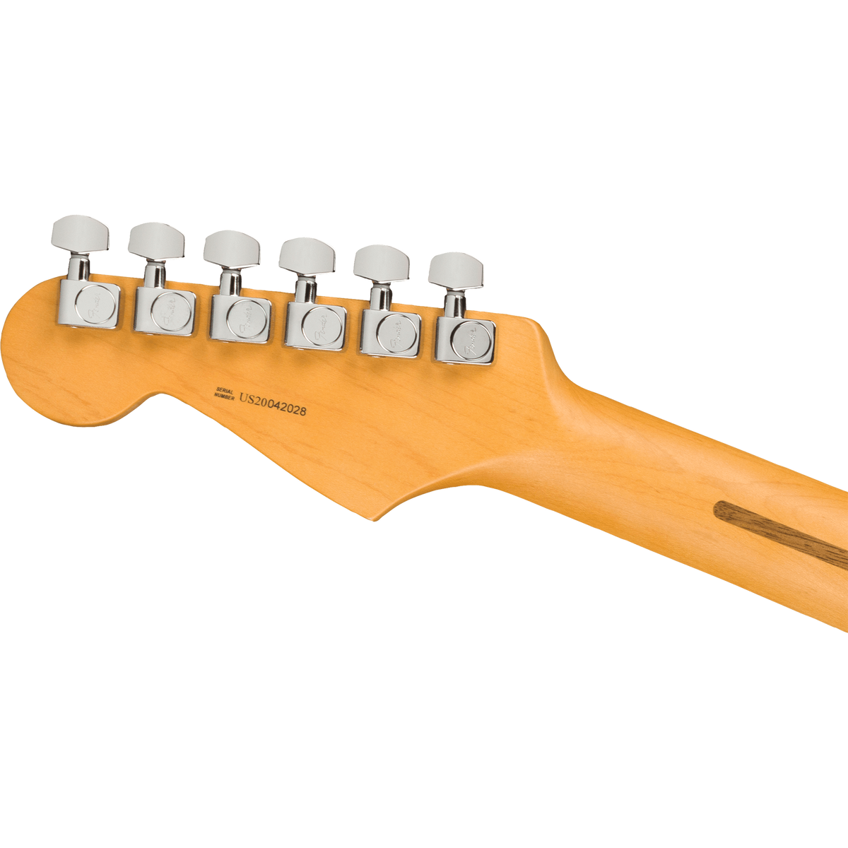American Professional II Stratocaster® Electric Guitar, Rosewood, Dark Night