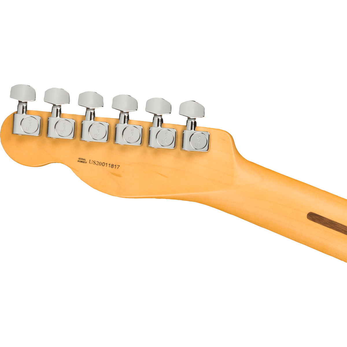 Fender American Professional II Telecaster® Electric Guitar, Roasted Pine