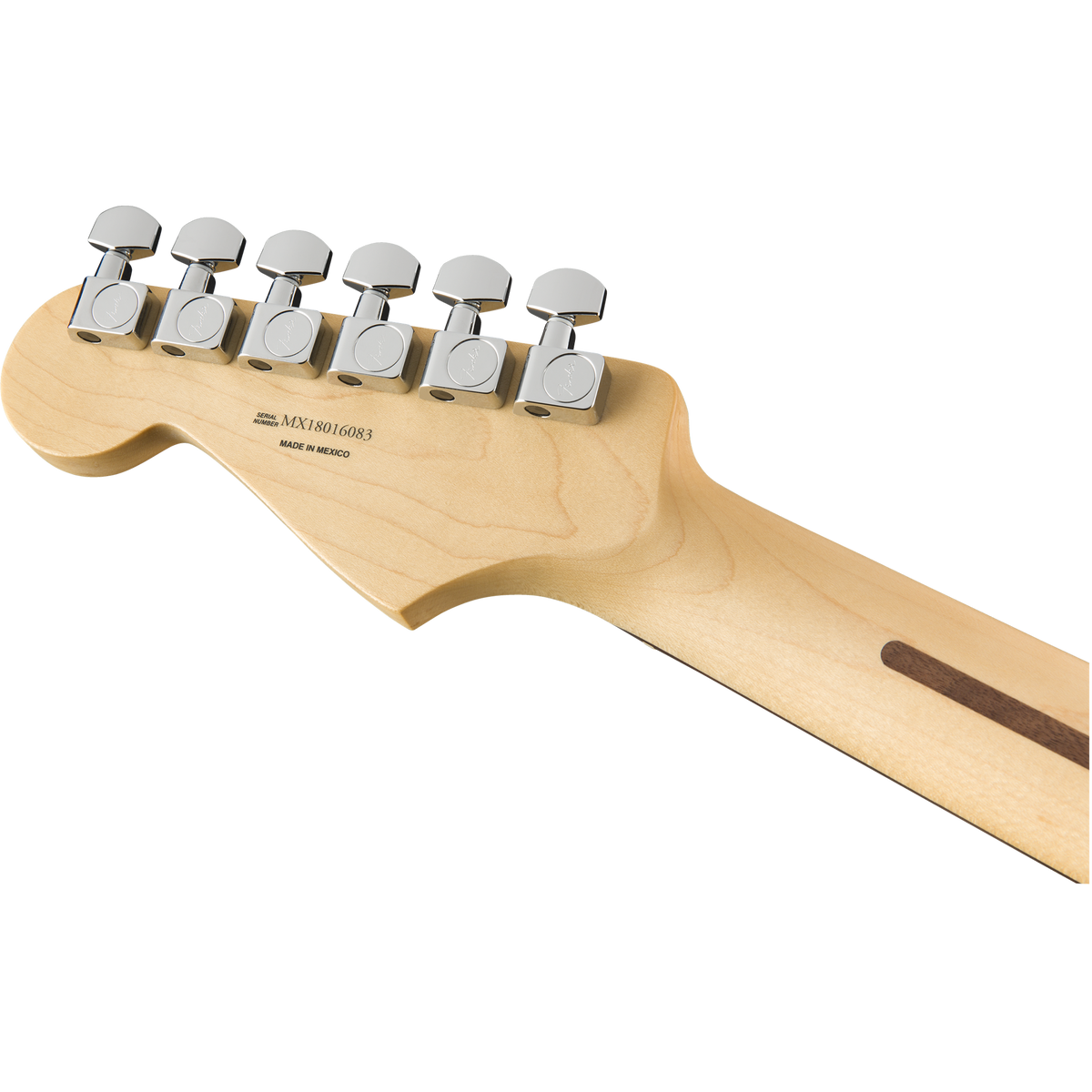 Fender Player Stratocaster®, Pau Ferro Electric Guitar, Black