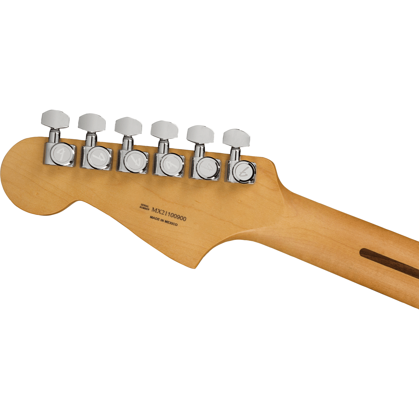 Pau Ferro Electric Guitar