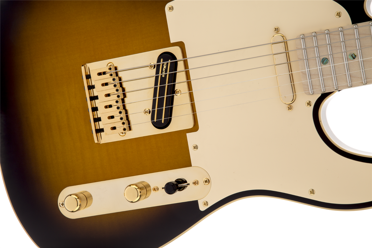 Fender Richie Kotzen Telecaster Brown Sunburst Maple Neck