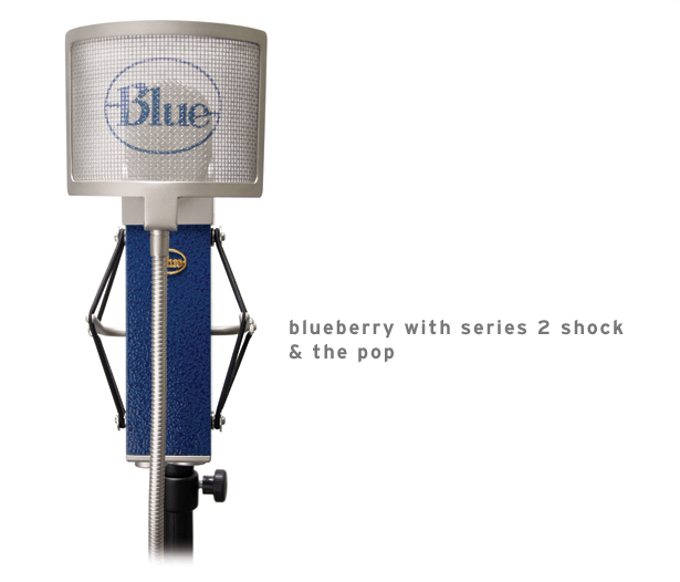 Blue Blueberry Condenser Microphone