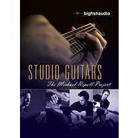 Big Fish Audio Michael Ripoll Project Studio Guitars