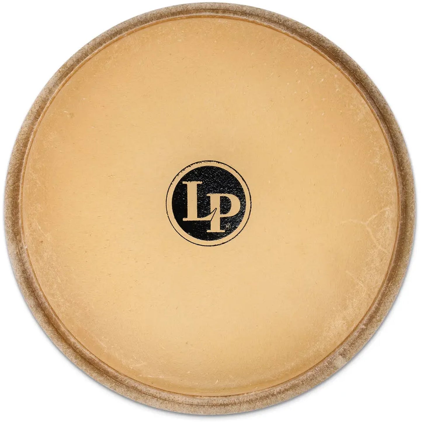 Latin Percussion LP660A 6 1/4 Head for Discovery Bongo