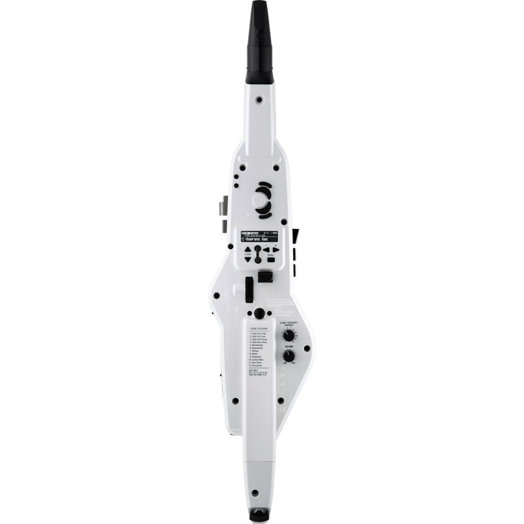 Roland Aerophone AE-20W Digital Wind Instrument