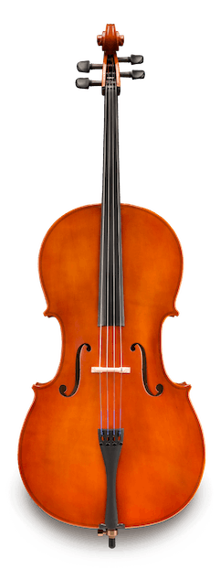Samuel Eastman VC80 - 1/2 Cello Outfit