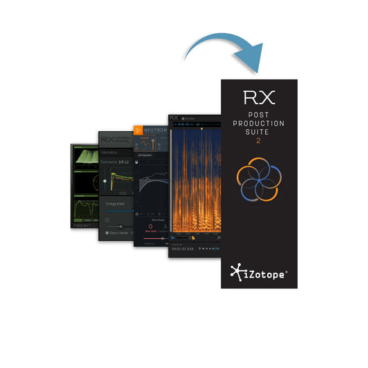 iZotope RX Post Production Suite 2 (Upgrade From PPS 1)