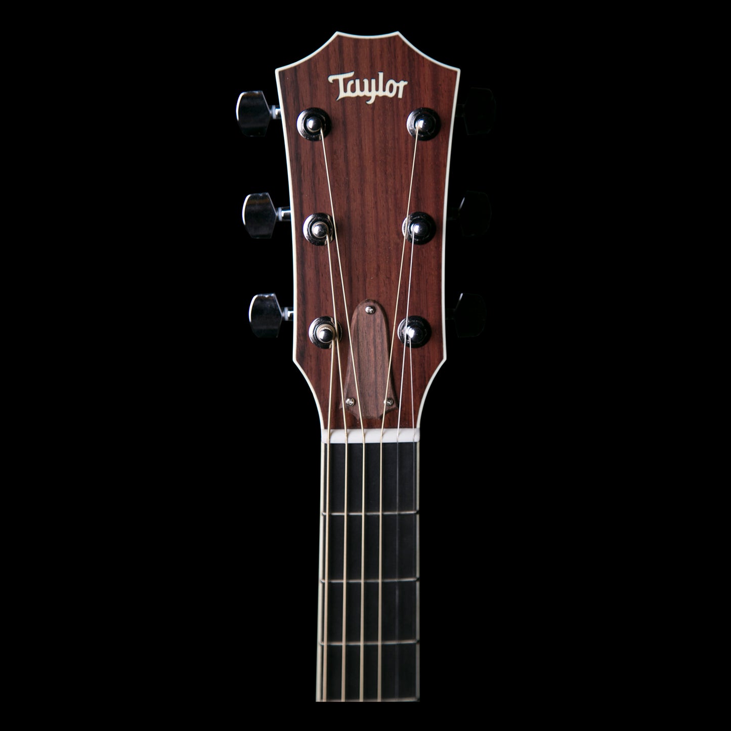 Taylor 710ce Acoustic / Electric Guitar in Natural with Case 710CE