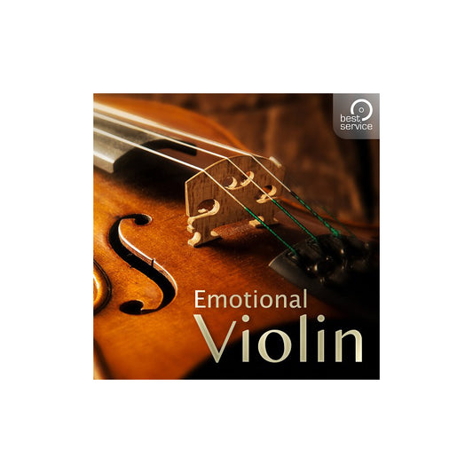 Best Service Emotional Violin Virtual Instrument