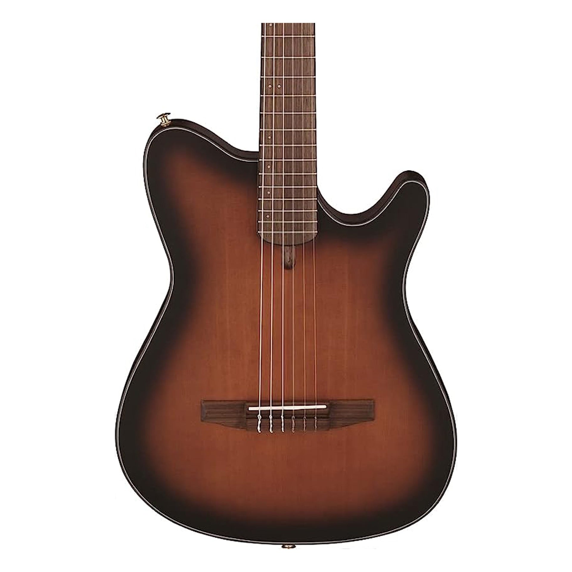 Ibanez FRH10NBSF Thinline Nylon Acoustic-Electric Guitar - Brown