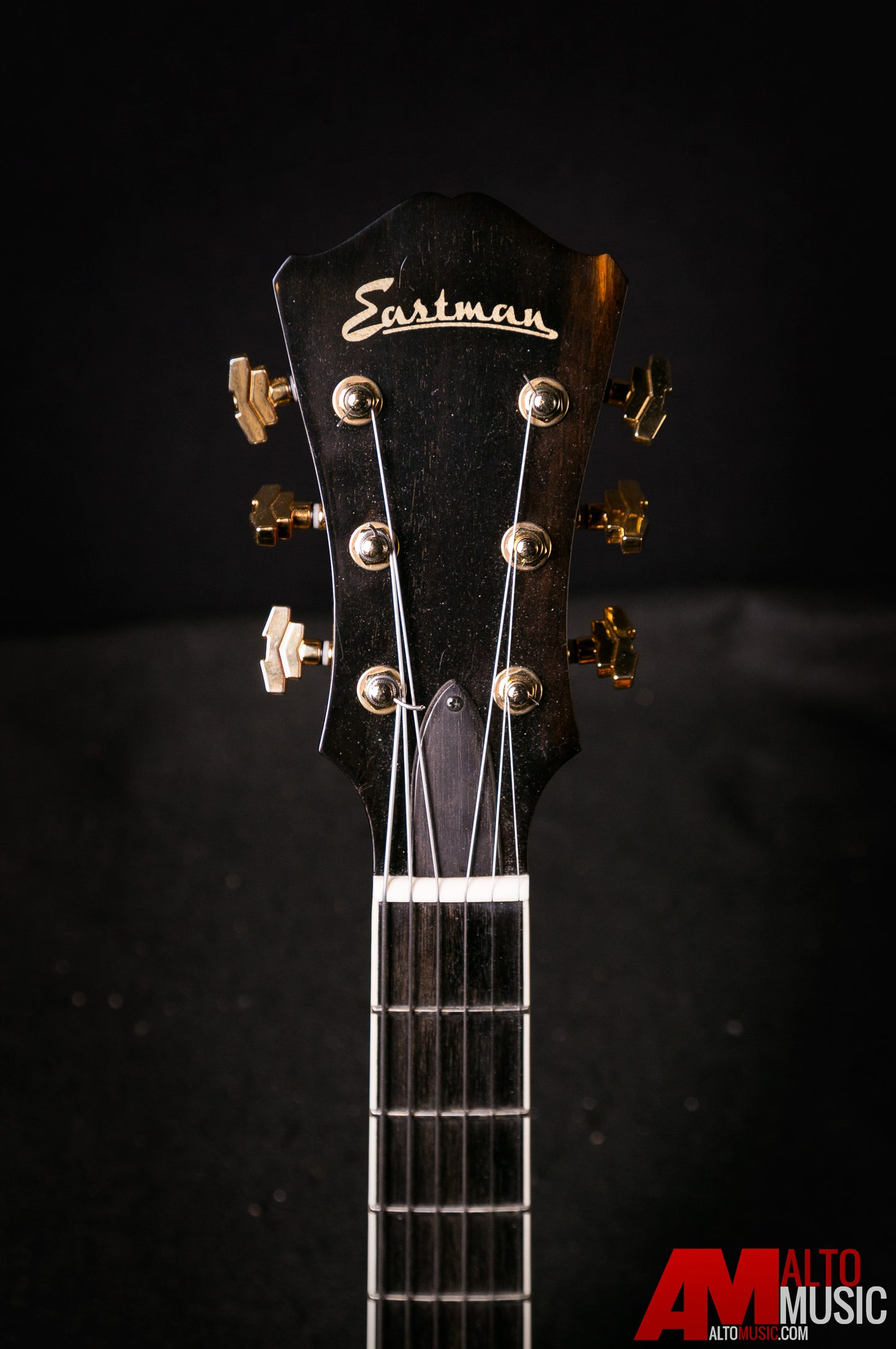 Eastman AR503CE Single Cutaway Archtop Guitar - Classic
