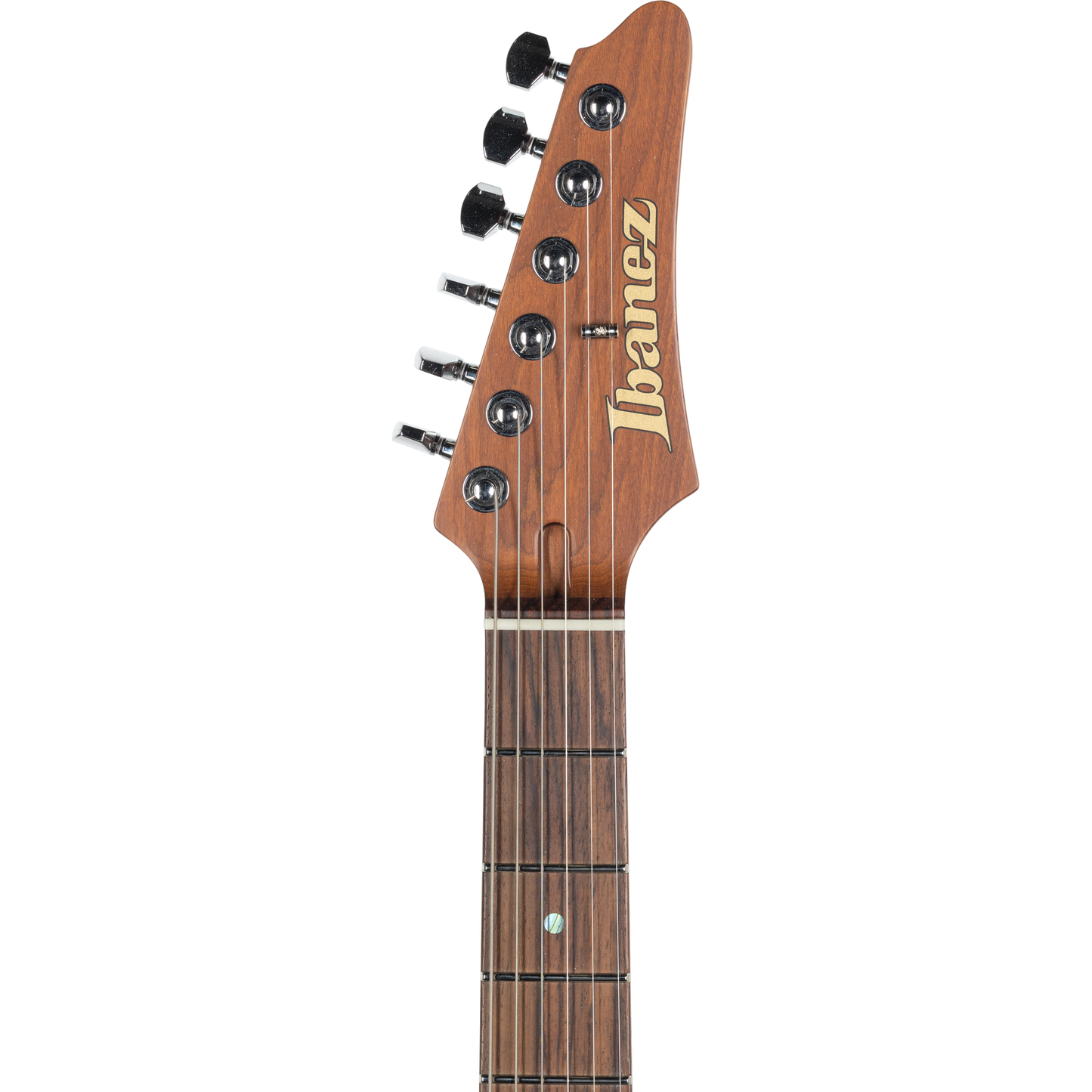 Ibanez Martin Miller Signature 6-String Electric Guitar - Transparent Aqua Blue