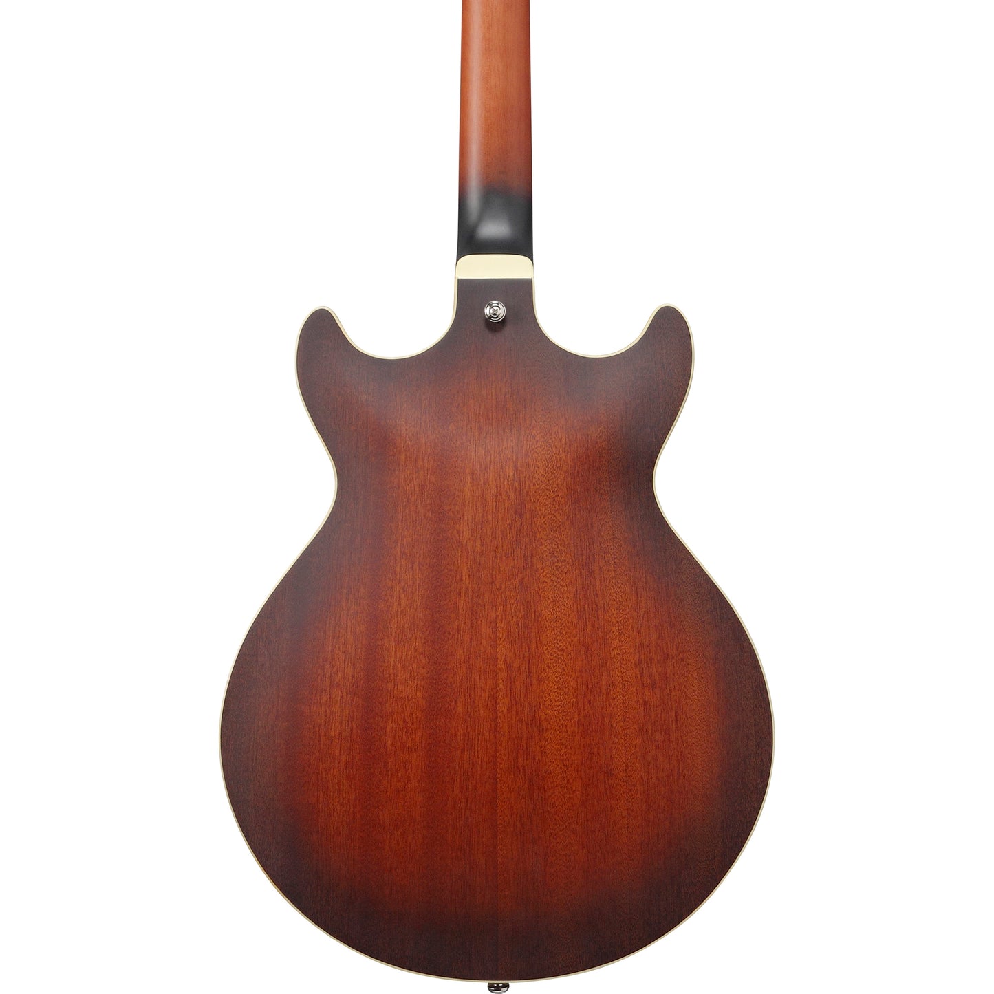 Ibanez AM53TF AM Artcore Semi Hollow Electric Guitar, Tobacco Flat