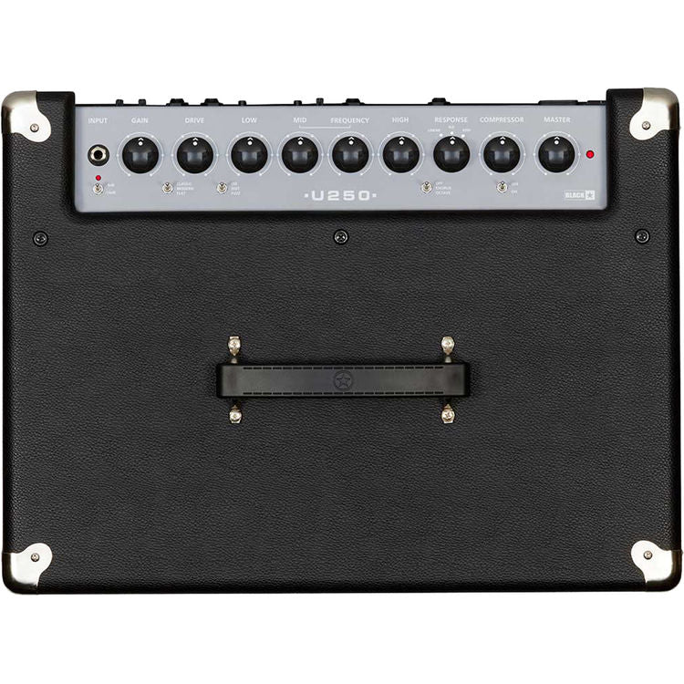 Blackstar Unity Bass 250 1x15” 250-Watt Bass Combo Amplifier