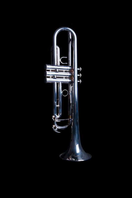 Blessing BTB-1287C Standard Series Tenor Trombone