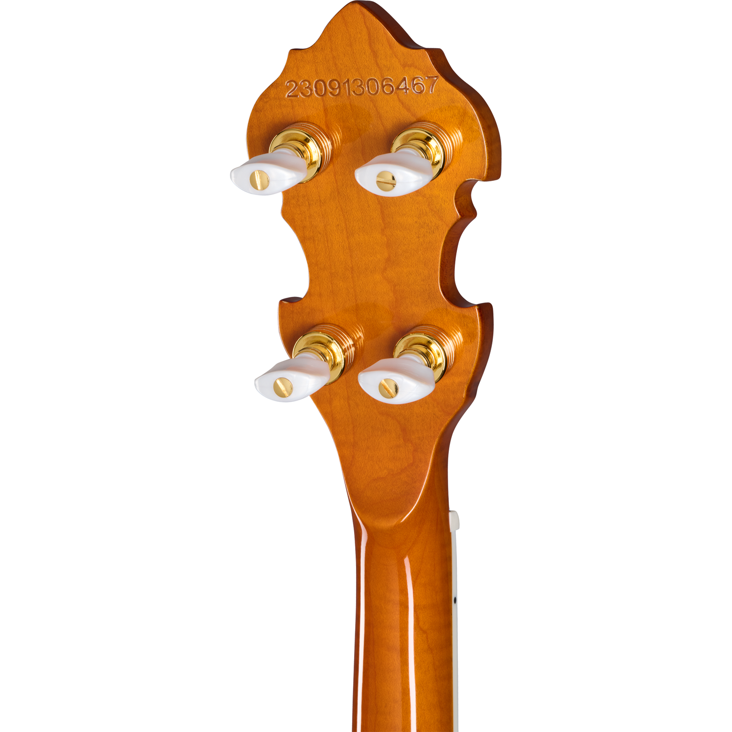 Epiphone Earl Scruggs Golden Deluxe Banjo - Vintage Sunburst