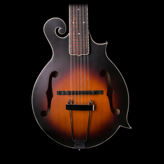 Gold Tone F-12 Long Scale 12 String F Style Mando Guitar w/Case