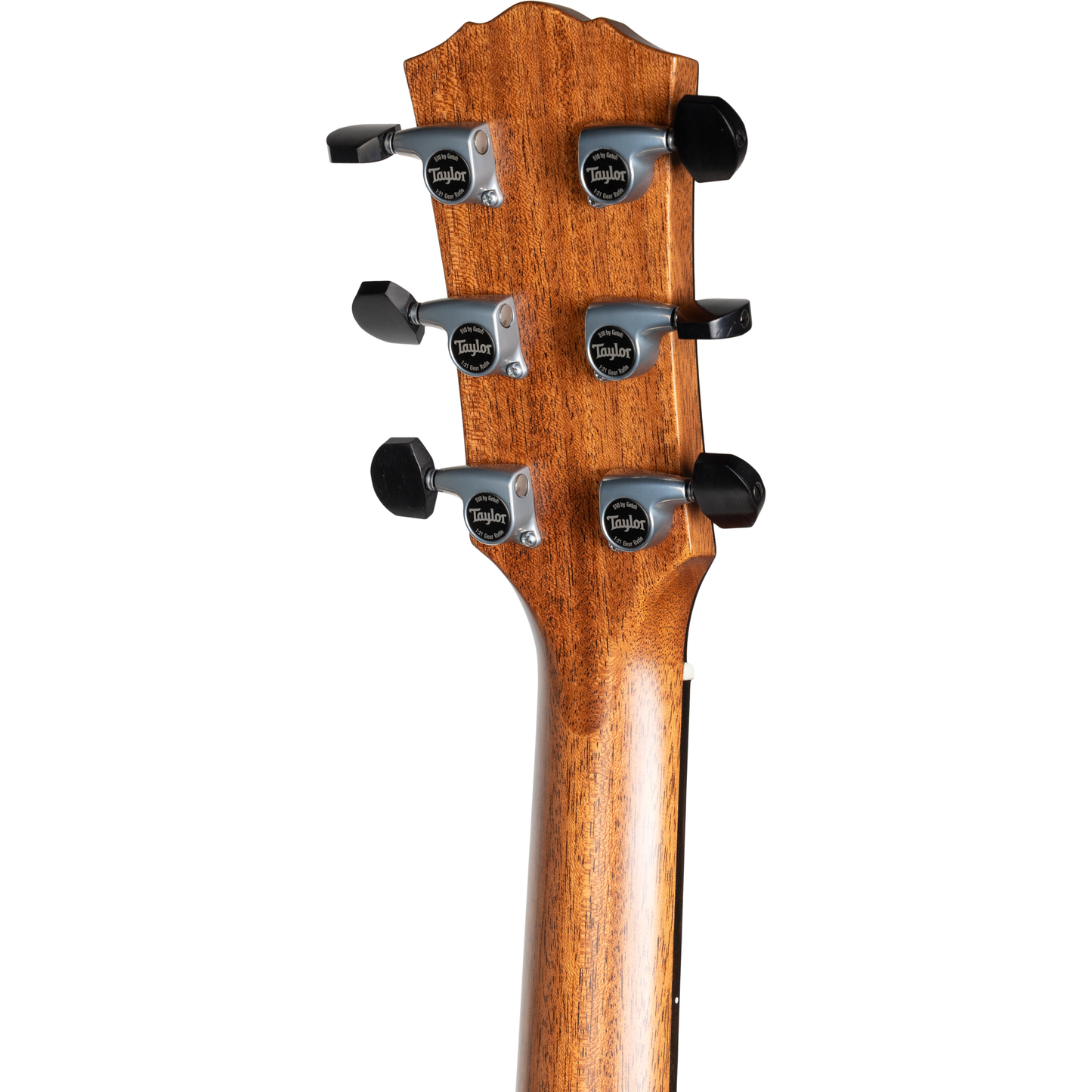 Taylor Gold Label 810e Dreadnought Acoustic Electric Guitar - Natural