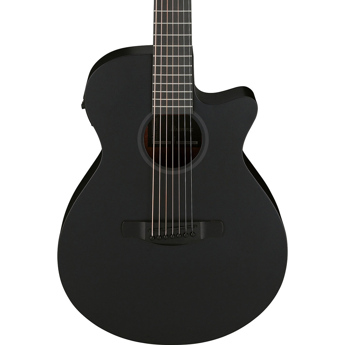 Ibanez AEG Series 7-String Acoustic Electric Guitar, Black Out