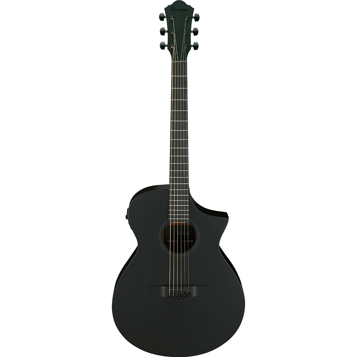 Ibanez AEWC Series Acoustic Electric Guitar, Black Out