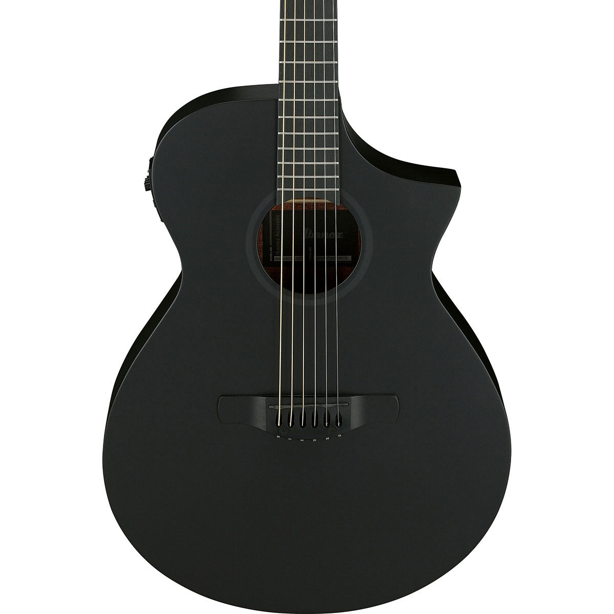 Ibanez AEWC Series Acoustic Electric Guitar, Black Out