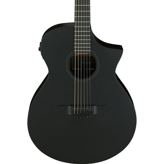Ibanez AEWC Series Acoustic Electric Guitar, Black Out