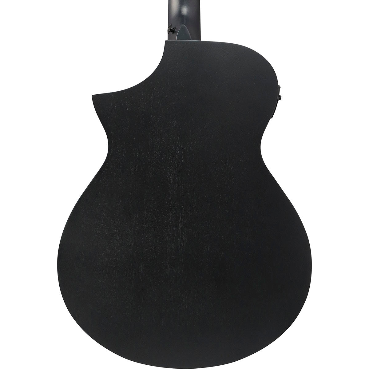 Ibanez AEWC Series Acoustic Electric Guitar, Black Out