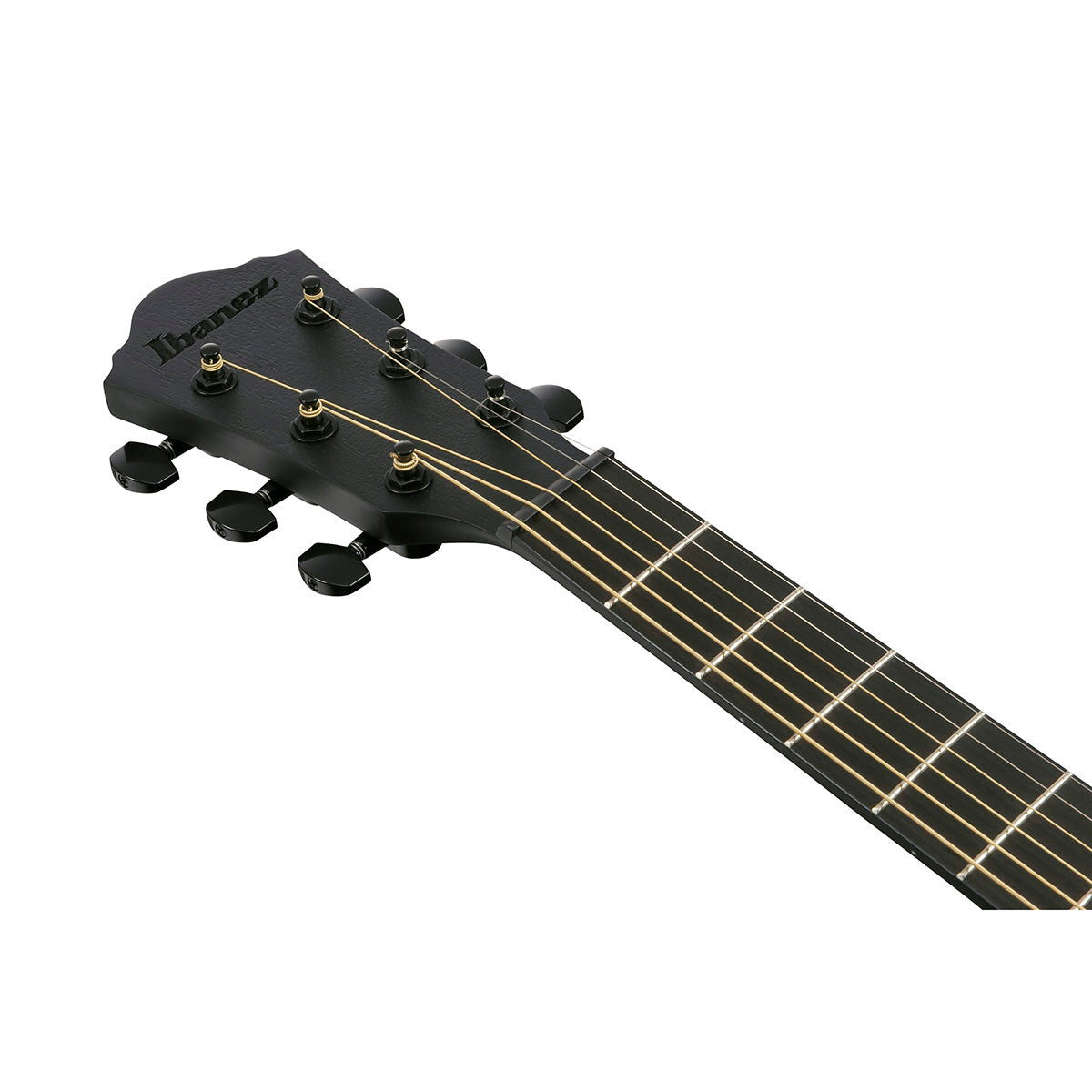 Ibanez AEWC Series Acoustic Electric Guitar, Black Out