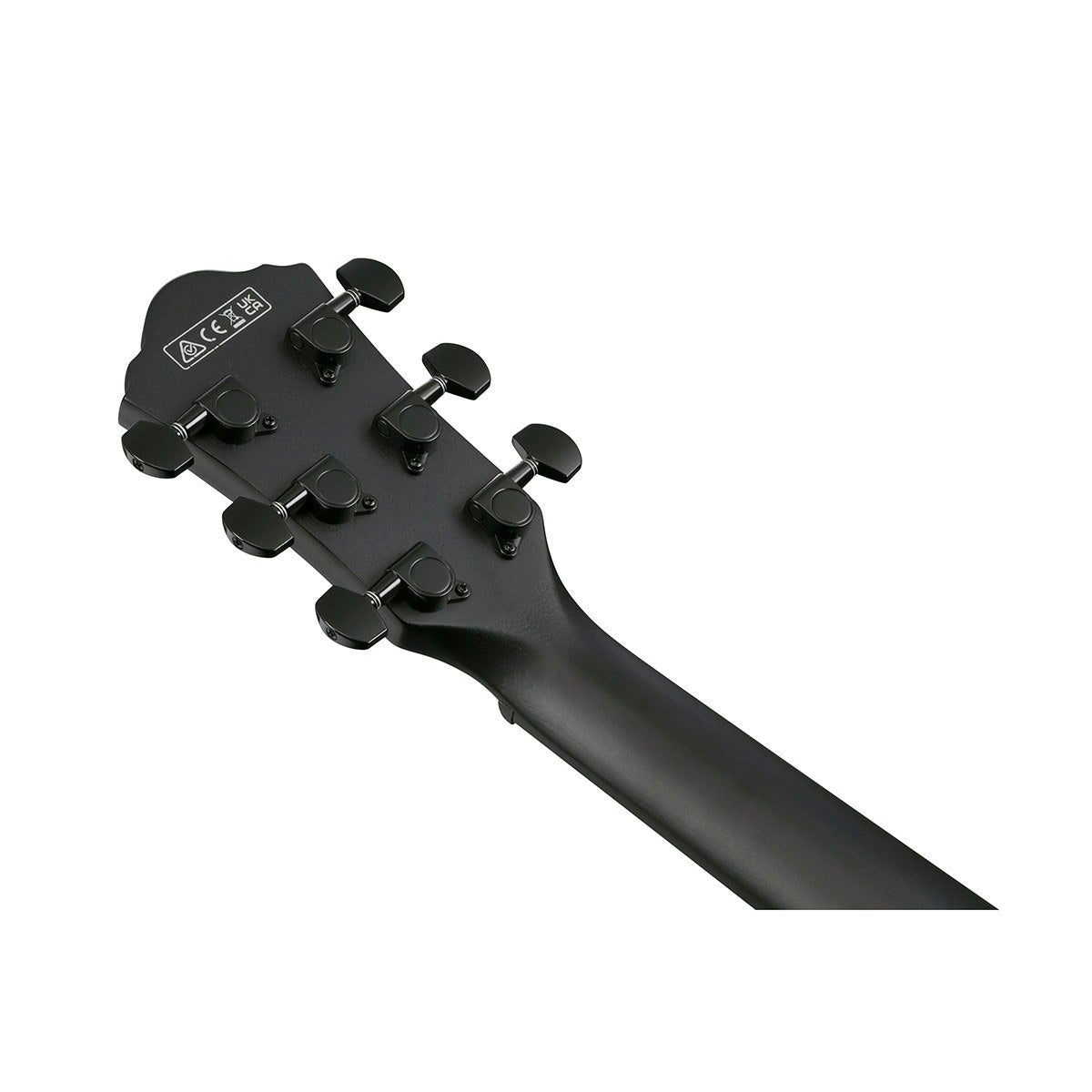 Ibanez AEWC Series Acoustic Electric Guitar, Black Out