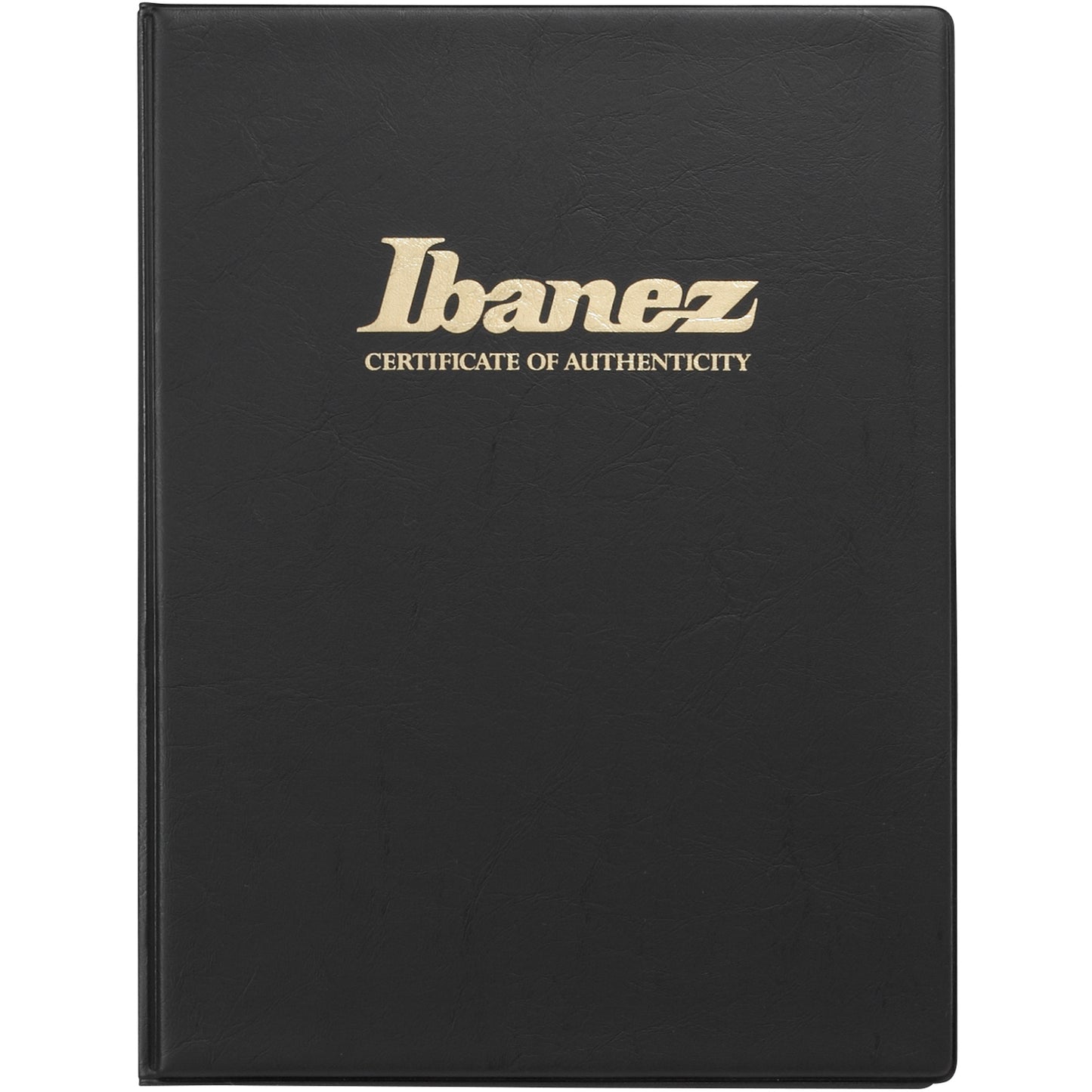 Ibanez IV1RG RG Visions 6-String Electric Guitar