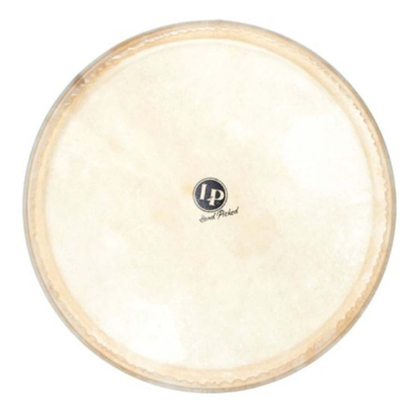 Latin Percussion LP960 14" Galaxy Djembe Head