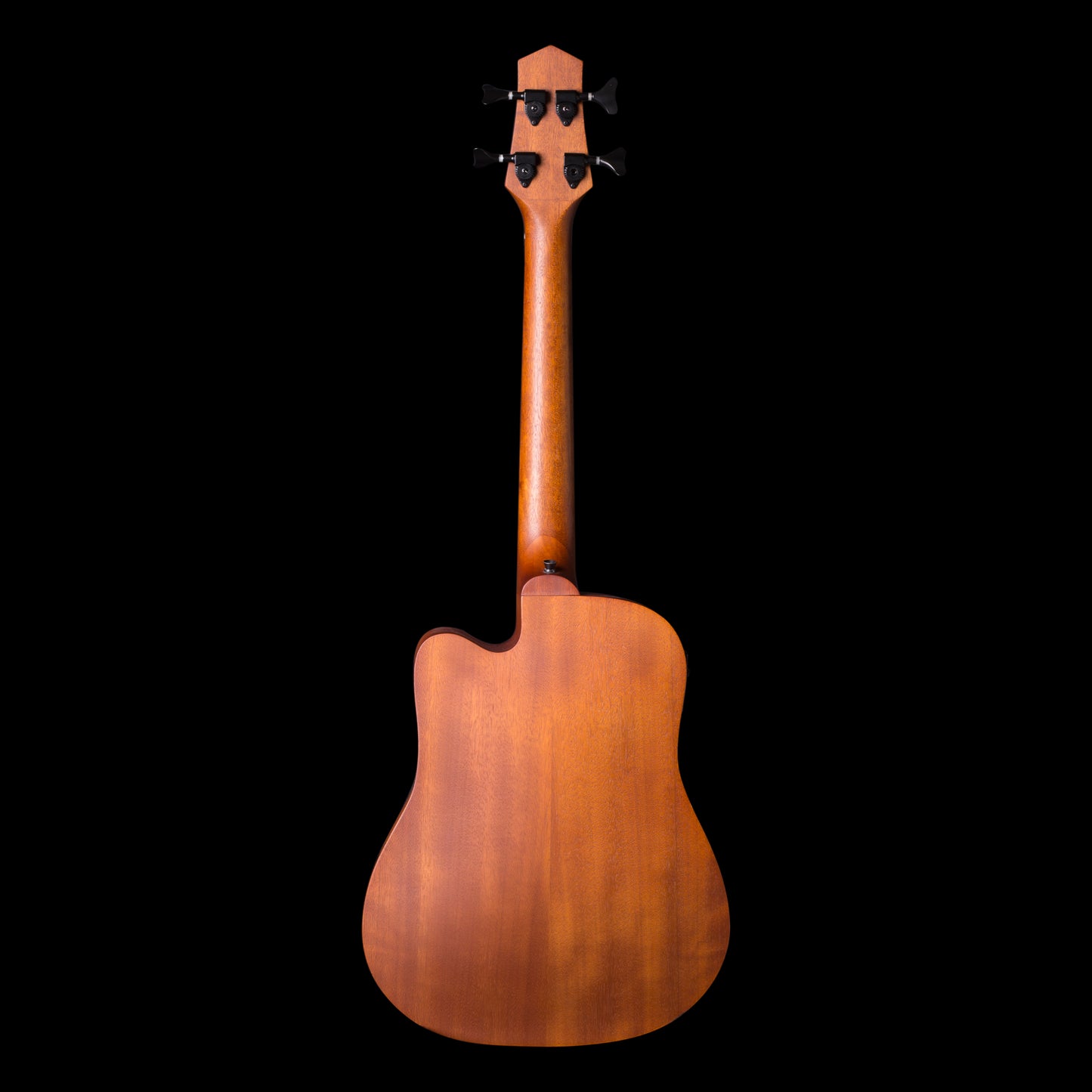 Goldtone M Bass Microbass Fretless Short-Scaled Acoustic Electric Bass with Bag