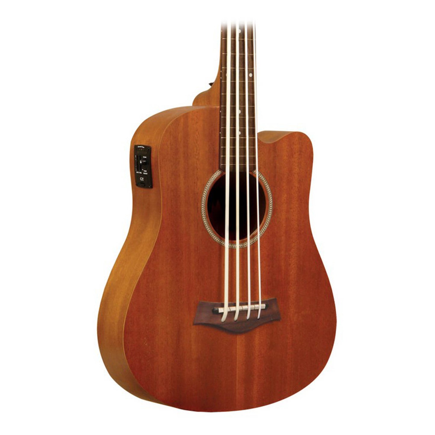 Goldtone M Bass Microbass Fretless Short-Scaled Acoustic Electric Bass with Bag