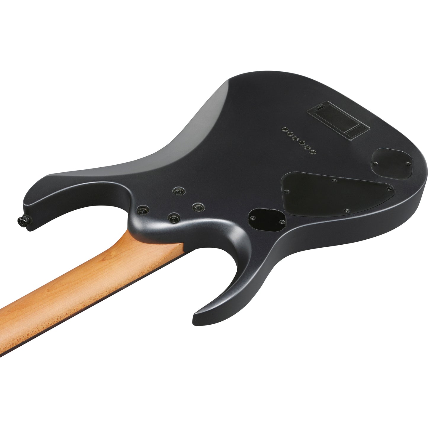 Ibanez RGD61 6-String Electric Guitar - Black Aurora Burst Matte