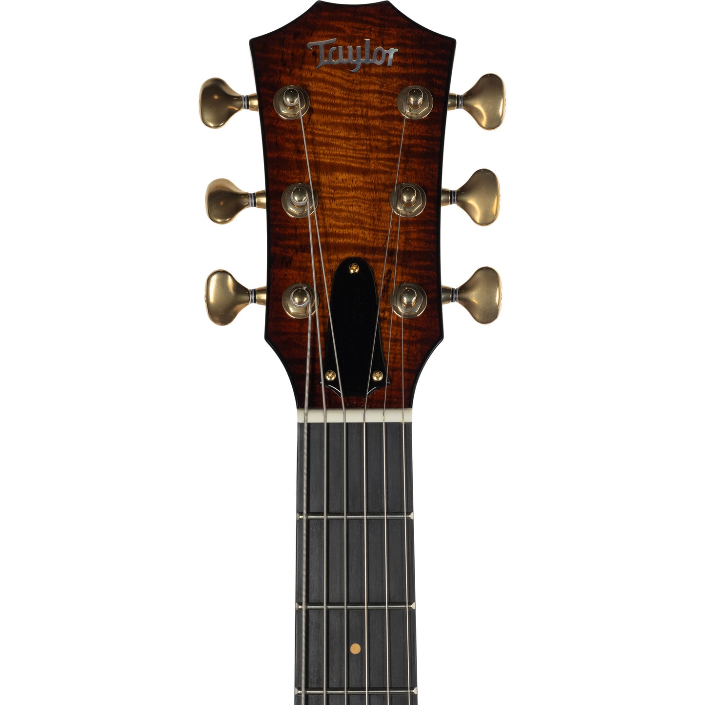 Taylor T5z Custom 2023 Spec Acoustic Electric Guitar, Koa Top