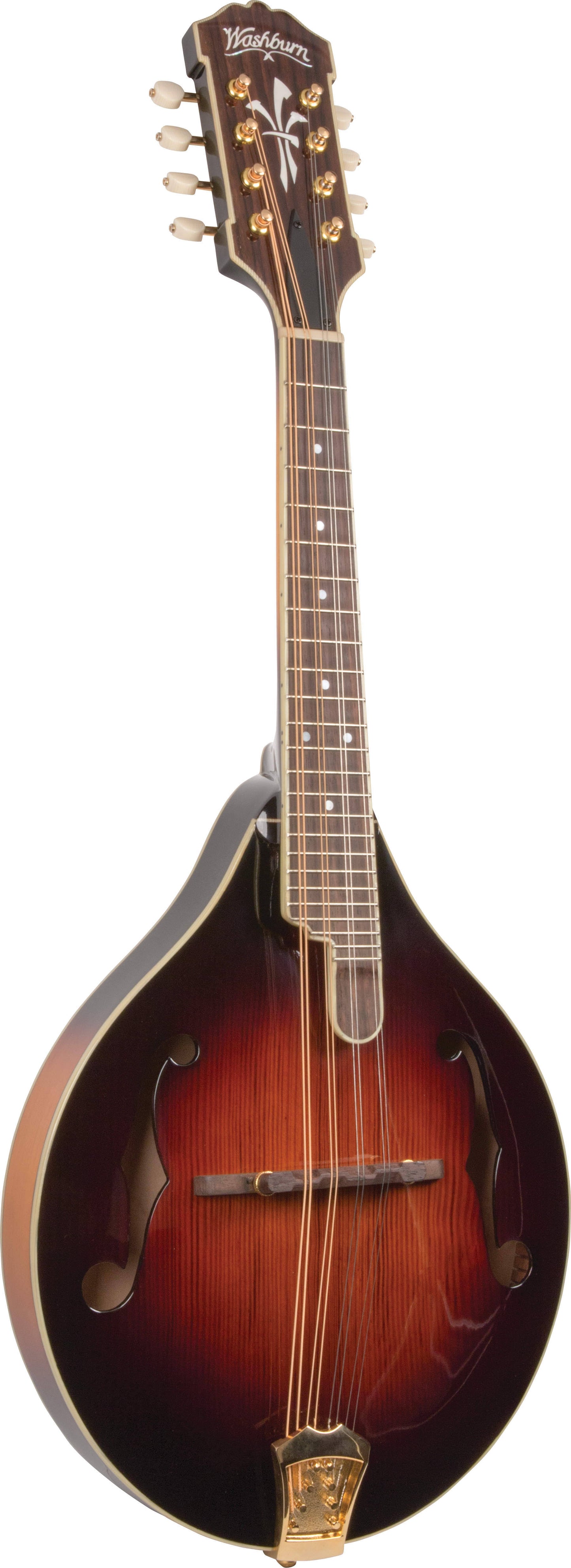 Washburn Timeless A5 Mandolin with Case