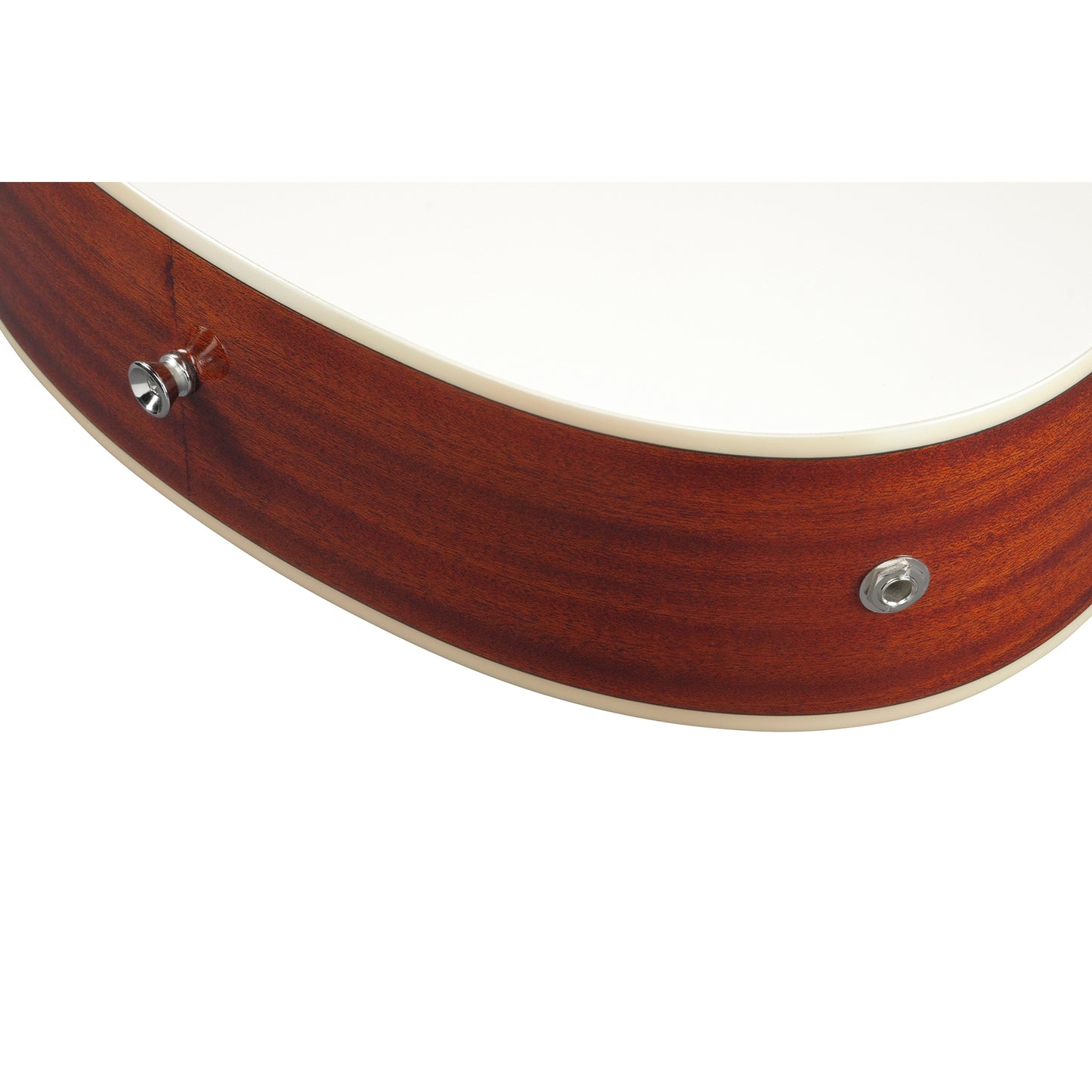 Ibanez TCY10EIVH Talman Acoustic Guitar, Ivory High Gloss