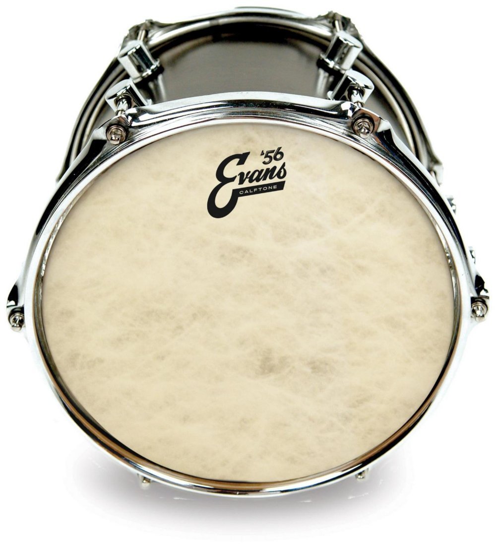 Evans Calftone 13" Tom Batter Drumhead