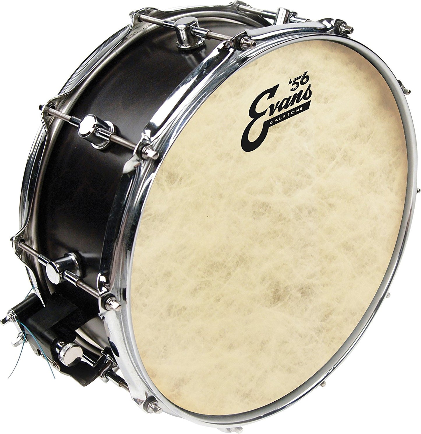 Evans TT14C7 Calftone Tom Batter, 14"