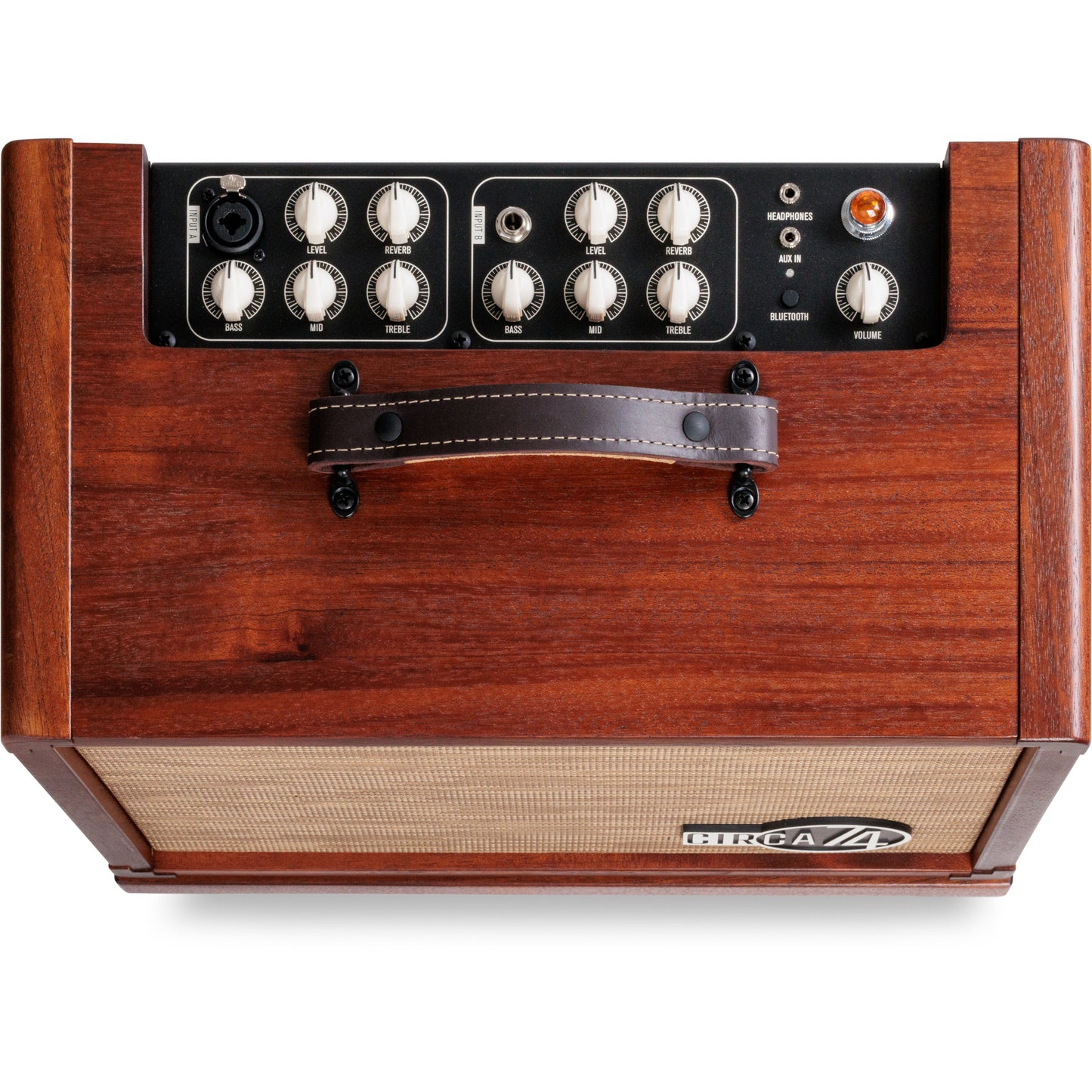 Taylor Circa 1974 2-in-1 Acoustic Guitar / Vocal Amplifier