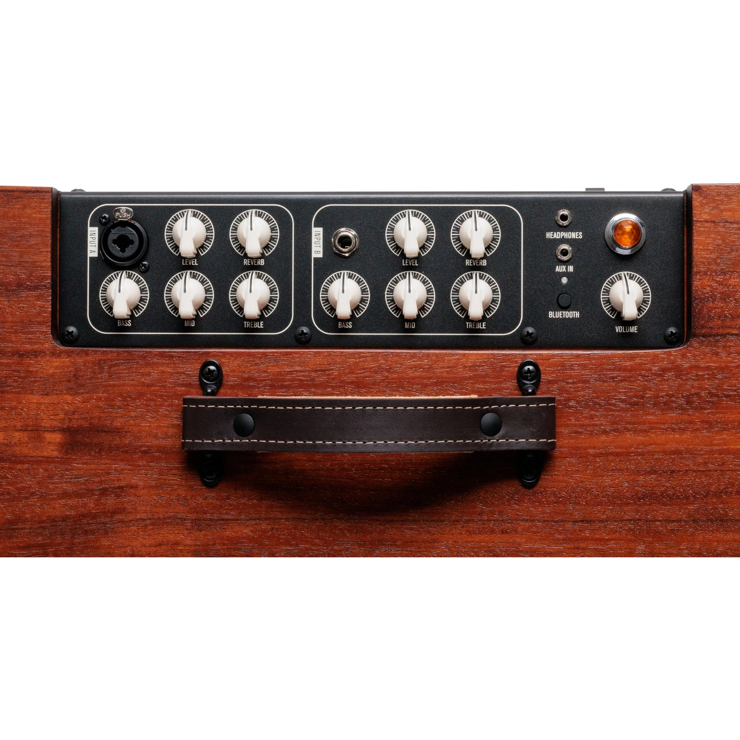 Taylor Circa 1974 2-in-1 Acoustic Guitar / Vocal Amplifier