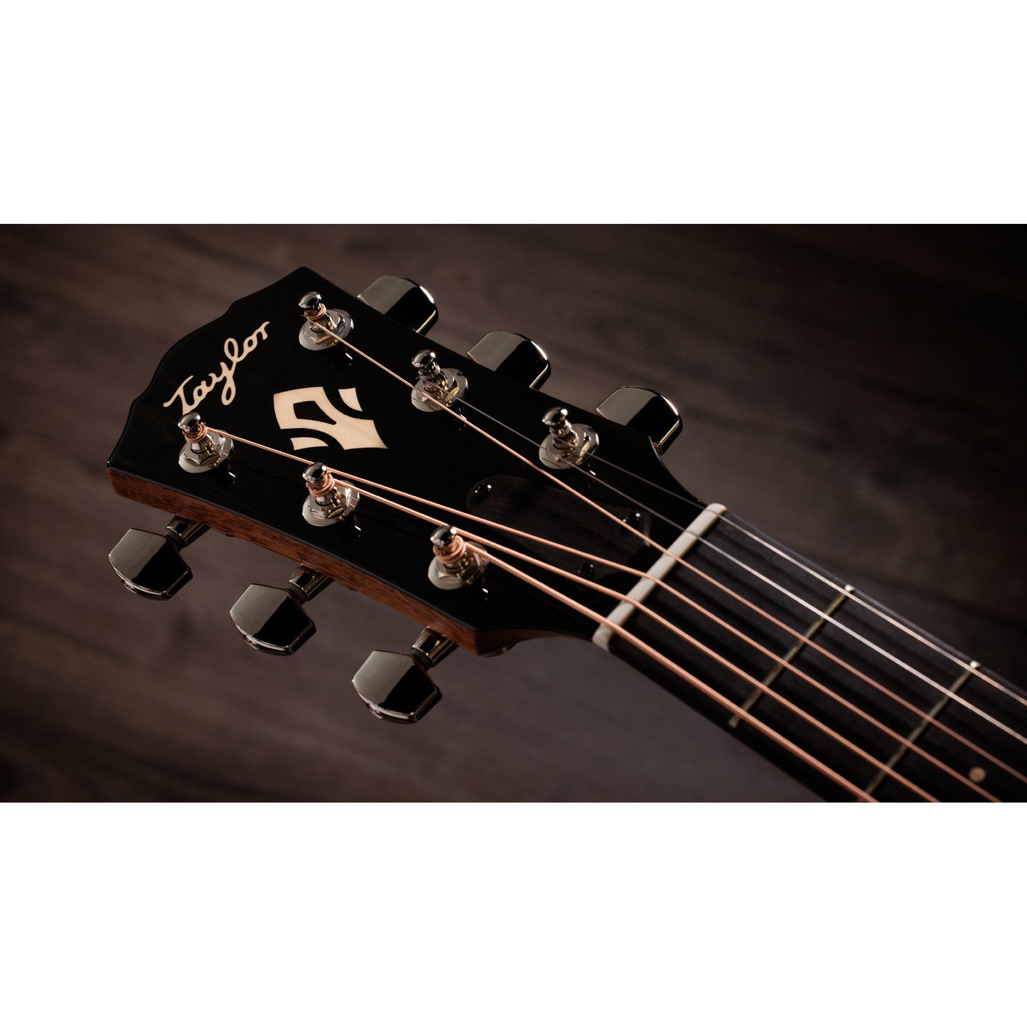 Taylor Gold Label 517e Grand Pacific Acoustic Electric Guitar - Natural