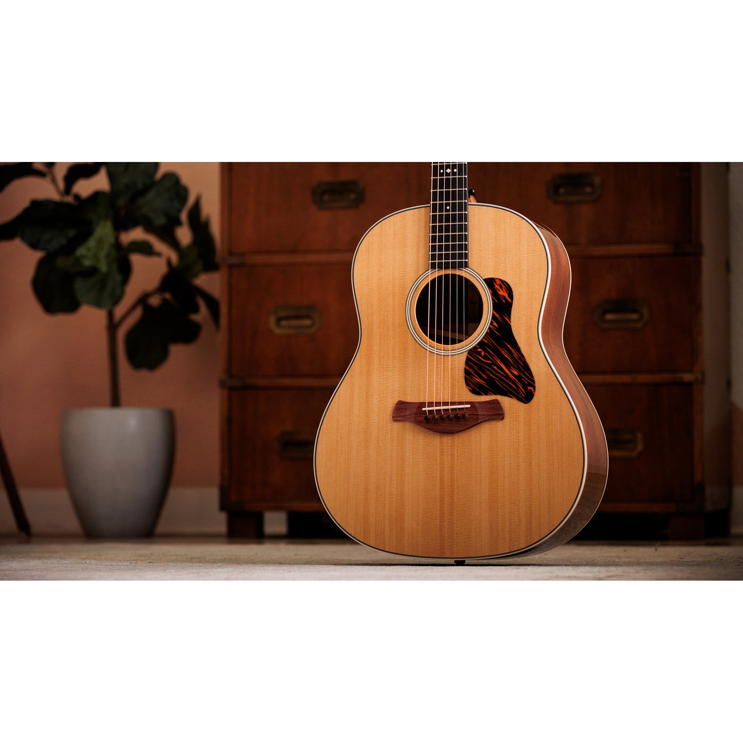 Taylor Gold Label 517e Grand Pacific Acoustic Electric Guitar - Natural