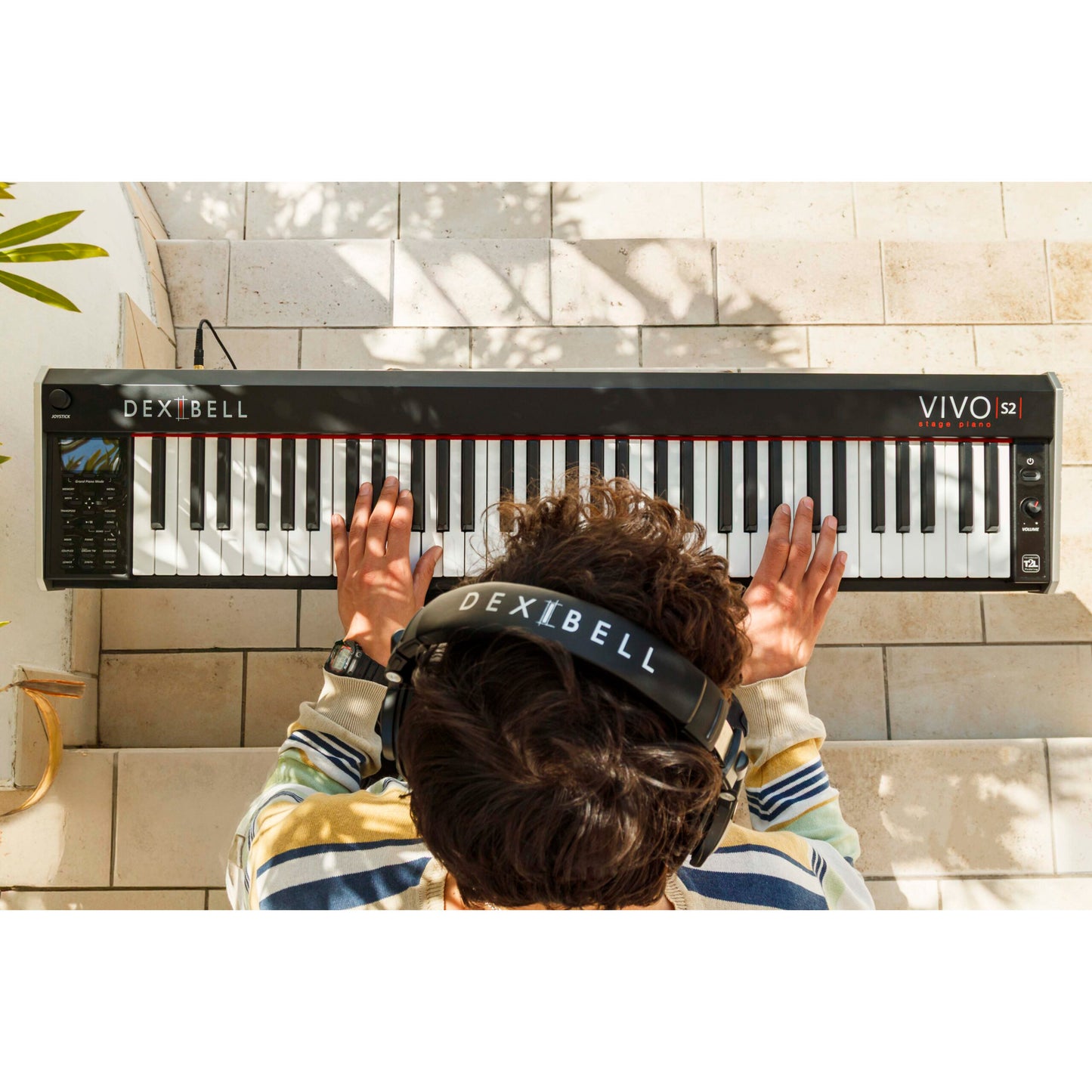 Dexibell VIVOS2 68-Key Digital Stage Piano