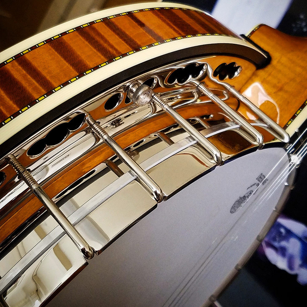 Deering Calico 5 String Banjo