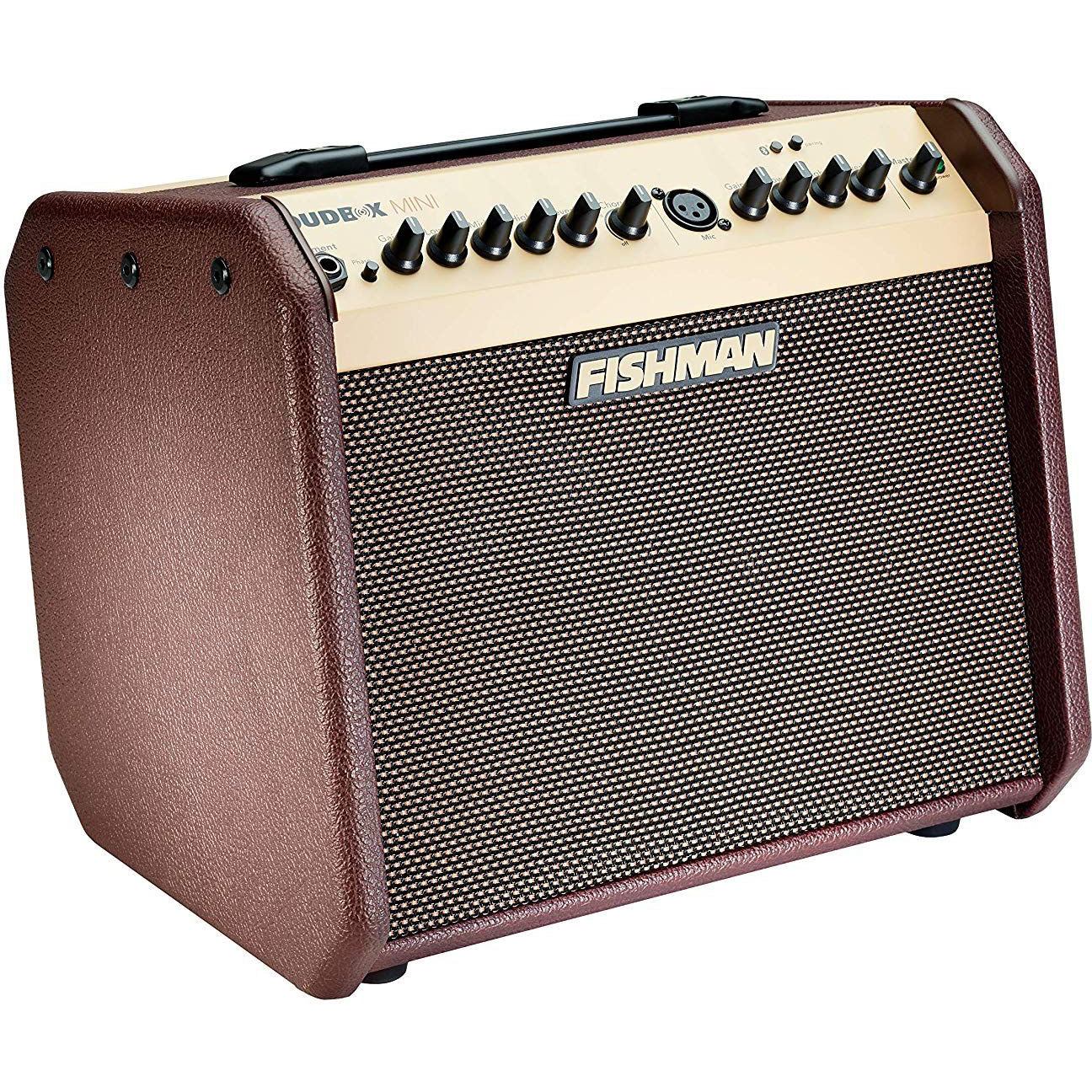 Fishman PRO-LBT-500 Loudbox Mini Acoustic Guitar Bluetooth Amplifier