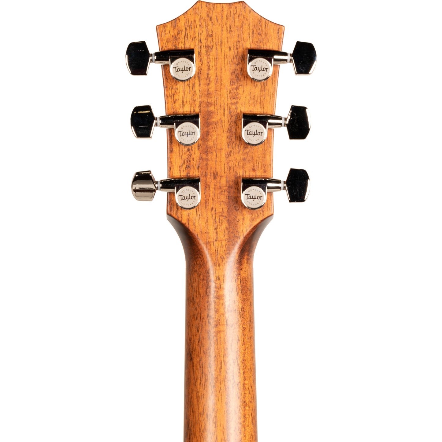 Taylor T5z Classic Thinline Tropical Mahogany Electric Acoustic Guitar