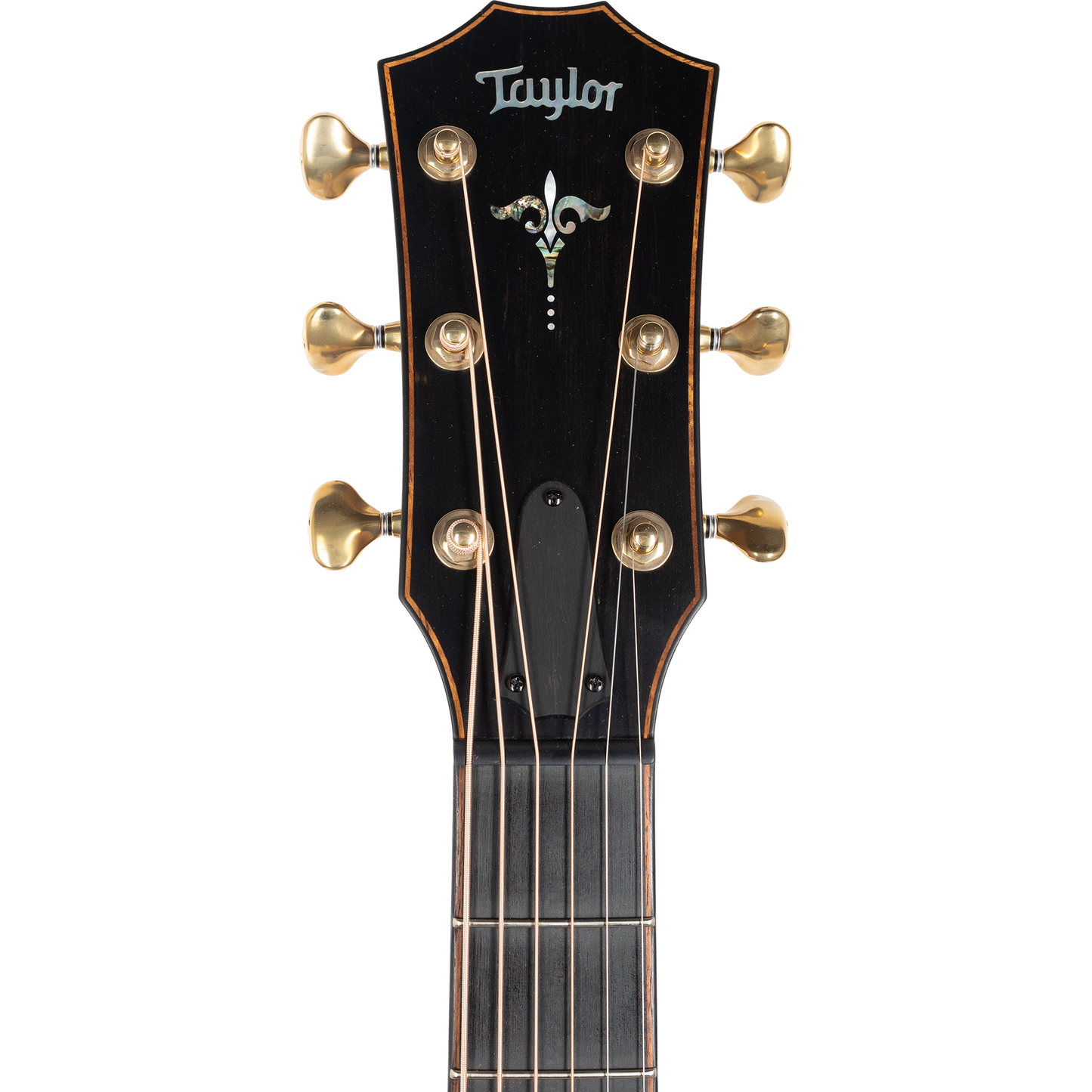 Taylor 912CE Builders Edition Grand Concert Acoustic Electric Guitar, Wild Honey Burst