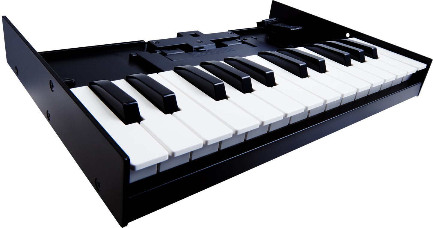Roland K-25m Boutique Series 25-Note Velocity Sensitive Keyboard