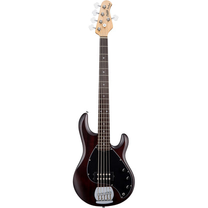Sterling by Music Man StingRay Ray5 5-String Bass Guitar - Walnut Stain